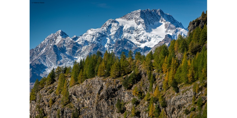 Monte disgrazia